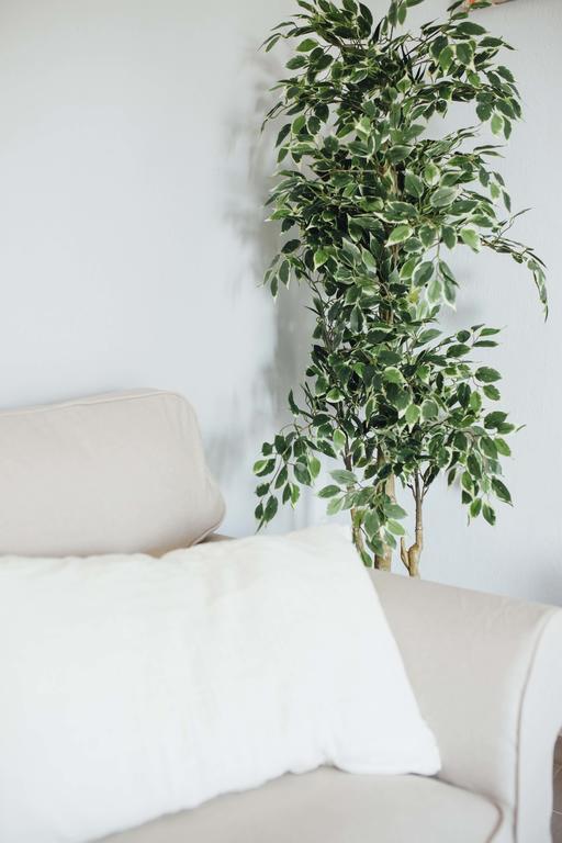 One&lux - Setas 3 Appartement